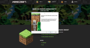 Read more about the article [4 Fixes] Minecraft Won’t Install Windows 11