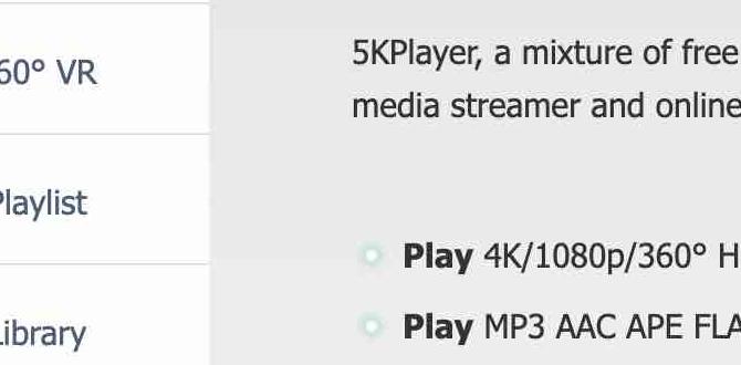 5kplayer download for windows 11