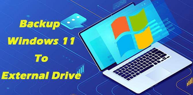 backup software for windows 11 to external hard drive