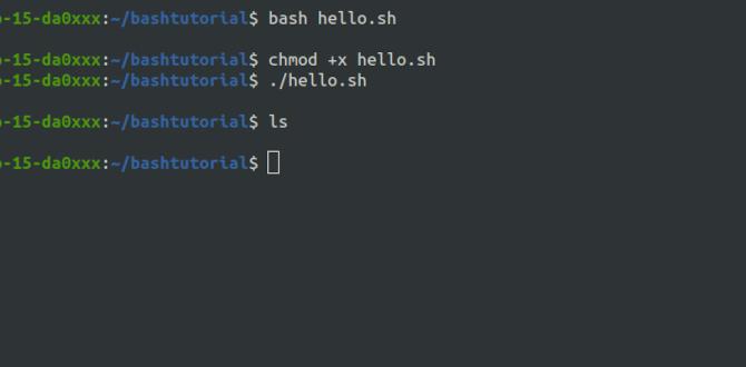 bash for windows 11