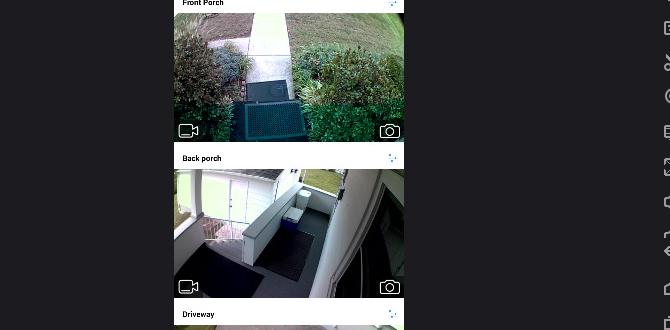 blink app for pc windows 11