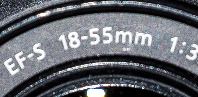 camera for windows 11