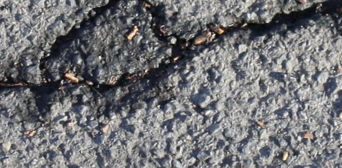 cracked ms office for windows 11 cracked ms office for windows 11