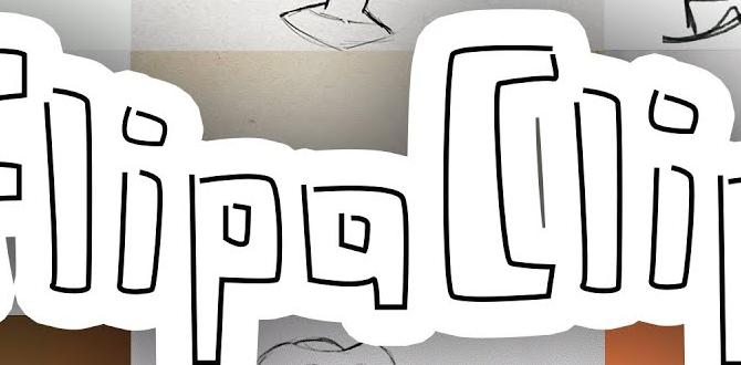 flipaclip for windows 11