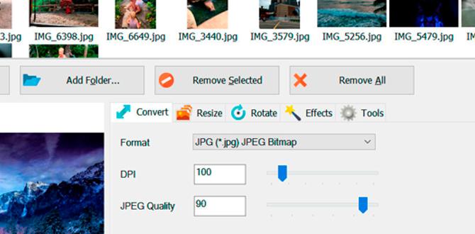 heic to jpg converter download for windows 11