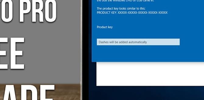 how to upgrade windows 10 to windows 11 for free
