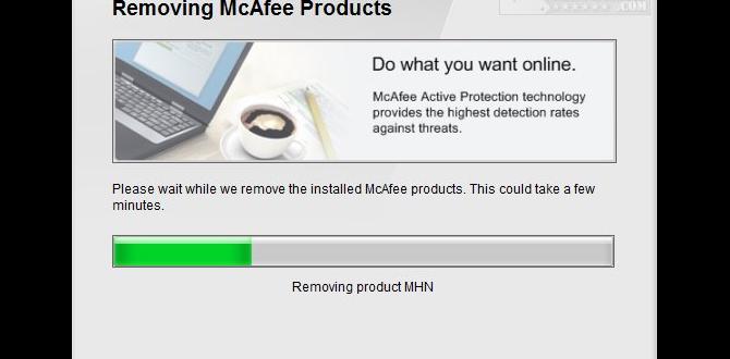 mcpr tool download for windows 11