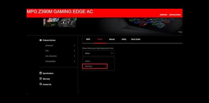 msi motherboard drivers for windows 11