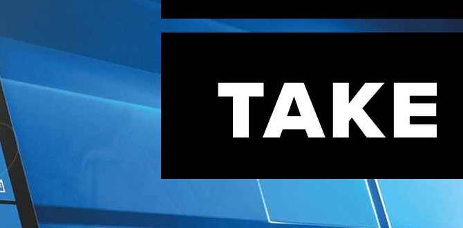screenshot tool for windows 11