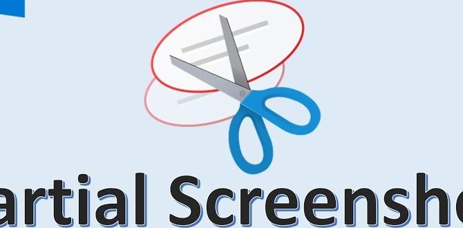 snipping tool for windows 11