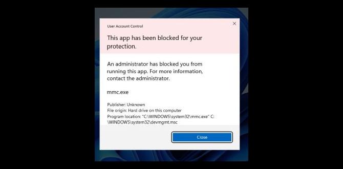 this app has been blocked for your protection windows 11