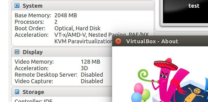 virtualbox for windows 11