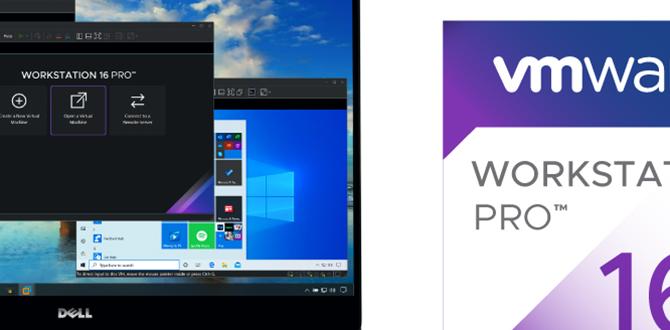vmware fusion for windows 11'