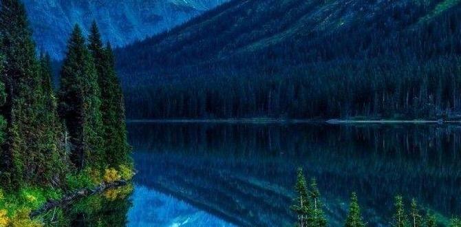 wallpapers and screensavers for windows 10
