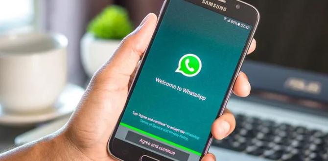 whatsapp for windows 11