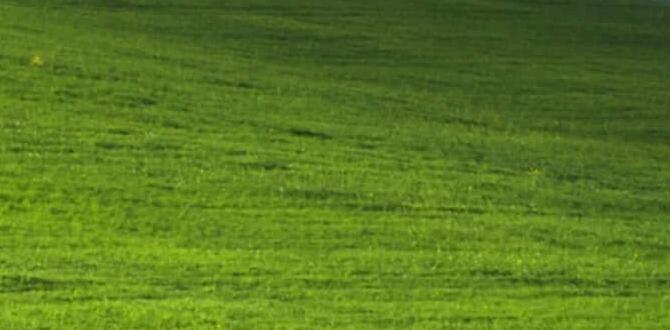 windows 11 shortcut for new folder