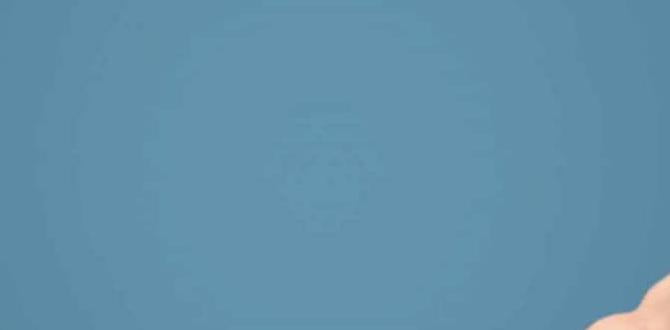 search for files windows 10
