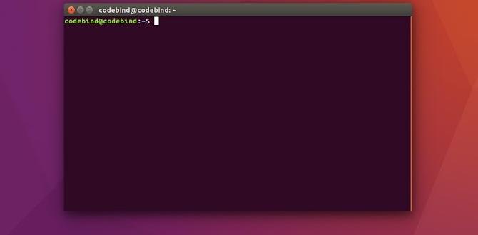 amd keyboard driver download for ubuntu without cd