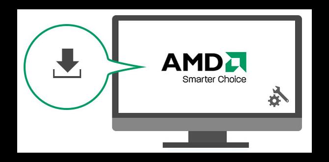 amd monitor driver setup for chromebook 2025
