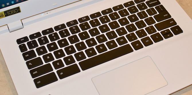 amd touchpad driver setup for chromebook 2025