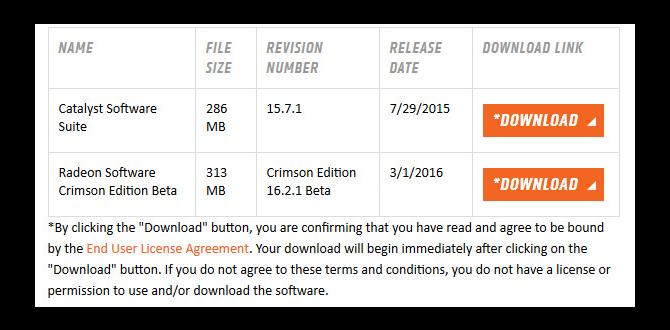 amd usb install driver for chromebook 2025