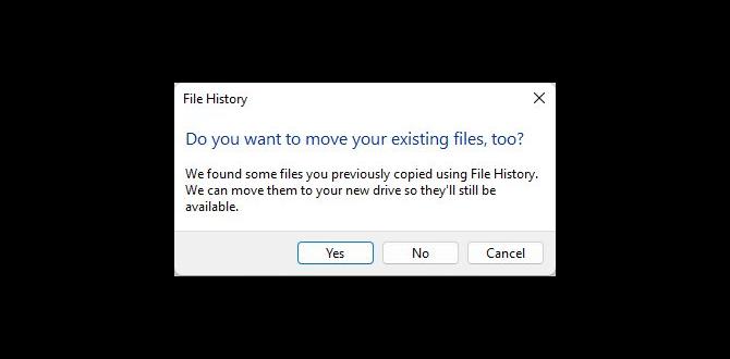 file history guide you need to know