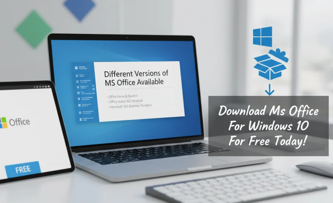 Different Versions of MS Office Available