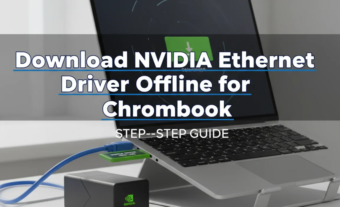 Download NVIDIA Ethernet Driver Offline for Chromebook
