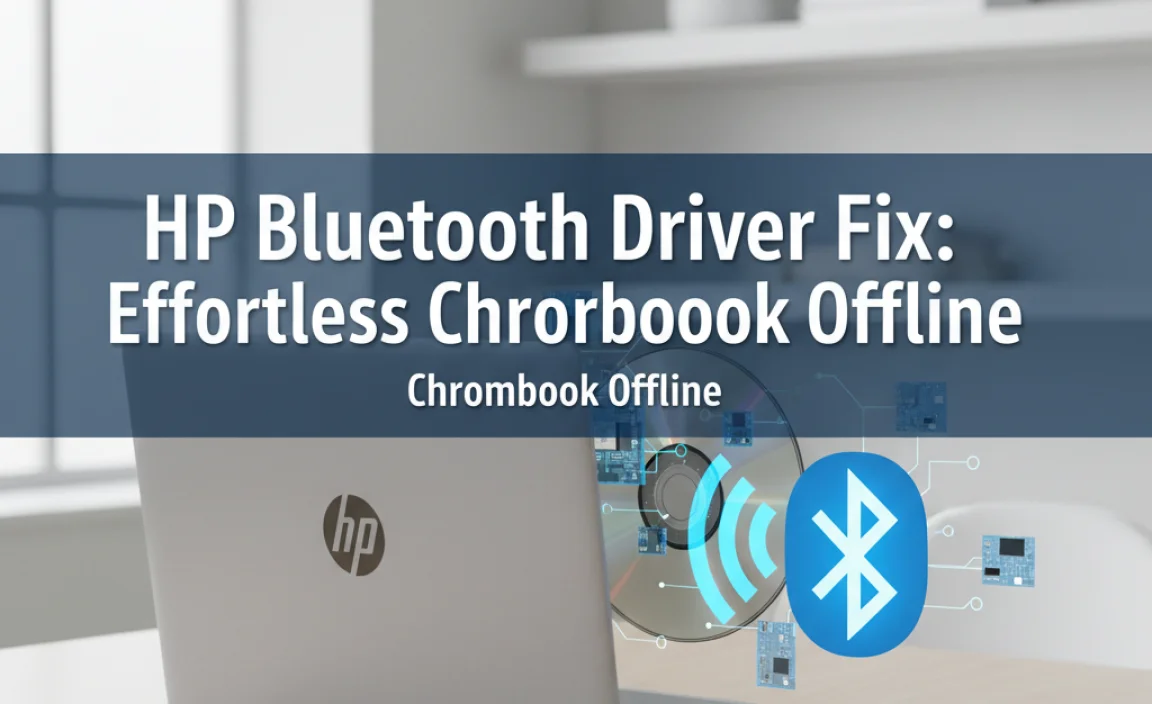 HP Bluetooth Driver Fix: Effortless Chromebook Offline