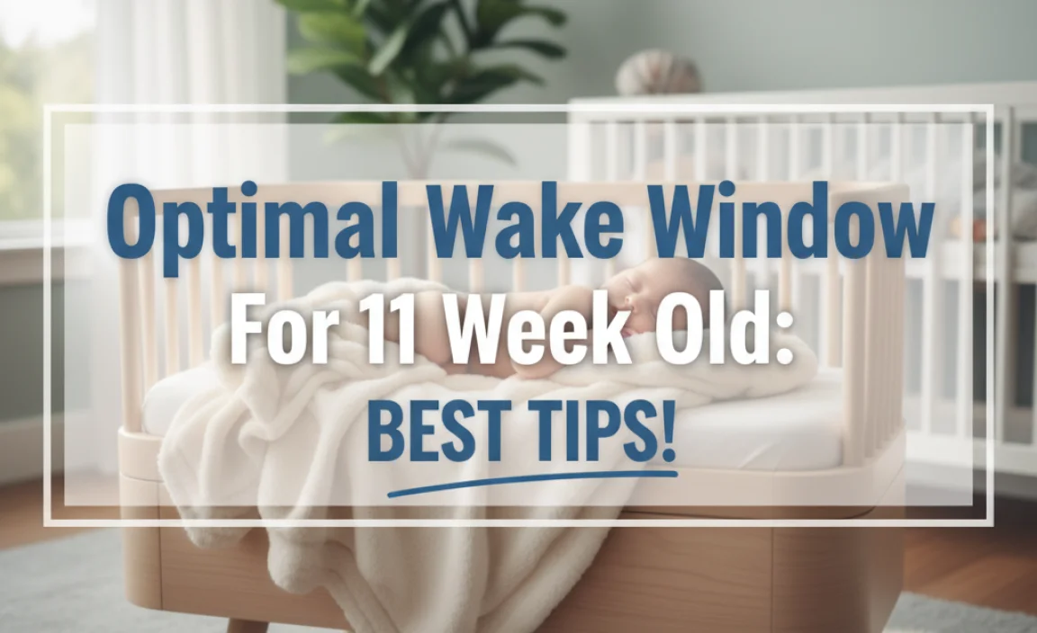 Optimal Wake Window For 11 Week Old: Best Tips!