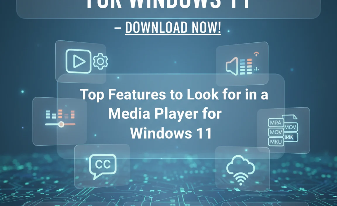 Top Features to Look for in a Media Player for Windows 11