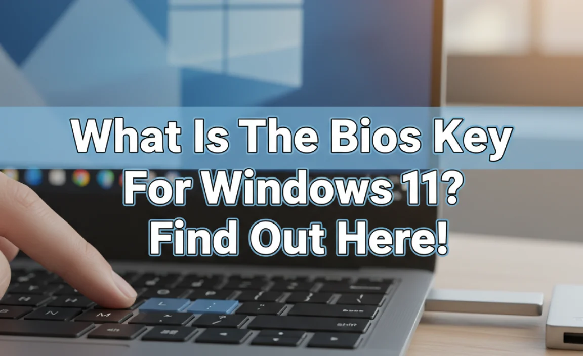 What Is The Bios Key For Windows 11? Find Out Here!
